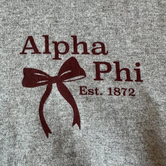 Alpha Phi Sorority With Love Hoodie - L/XL - 2025 Gray - Picture 1 of 6